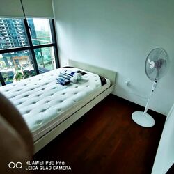 Normanton Park (D5), Apartment #582484821
